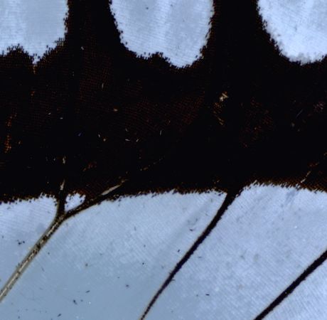 08_2025_above_filmstill09