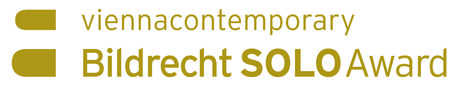 VC_Bildrecht_Solo_Award.jpg