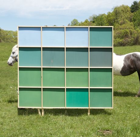 MarkusGuschelbauer_thehorse.jpg